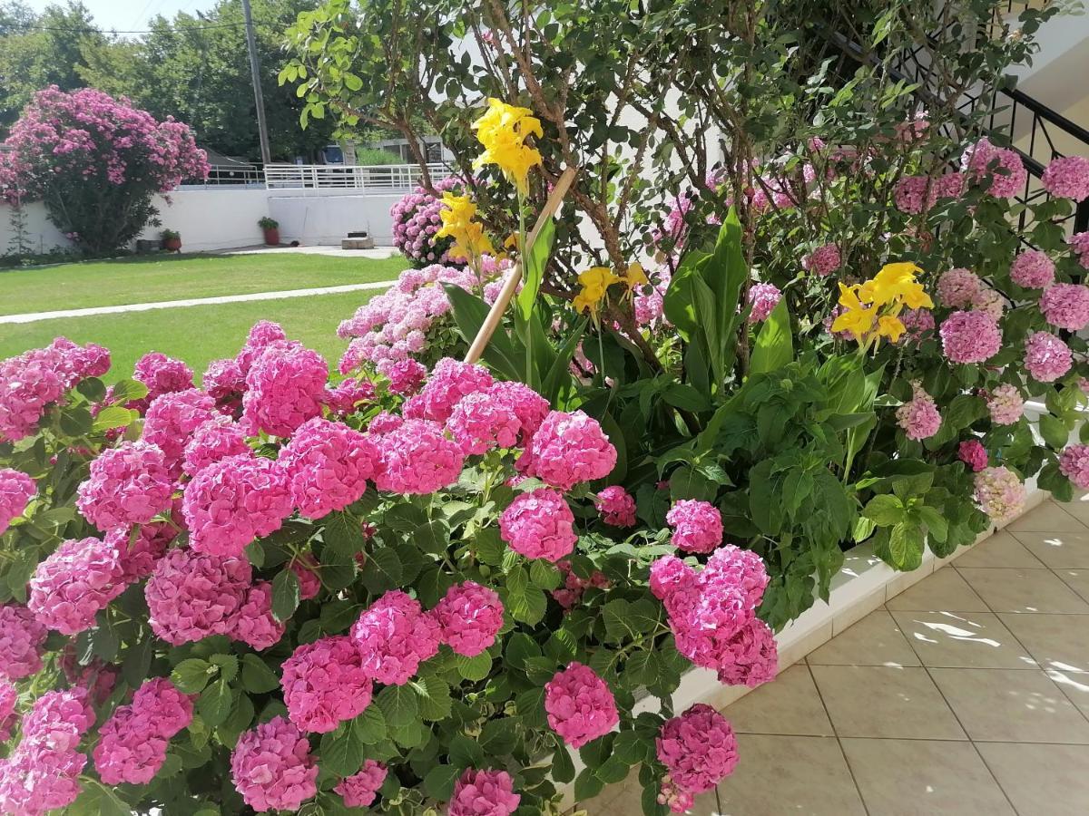 Palatino Studios Agia Paraskevi  Bagian luar foto