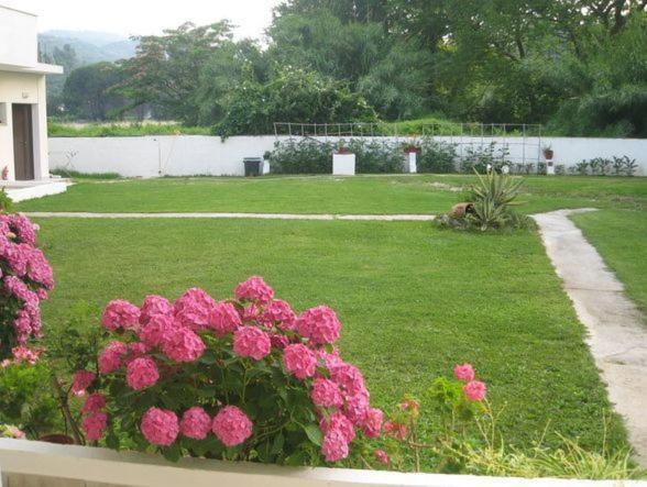 Palatino Studios Agia Paraskevi  Bagian luar foto